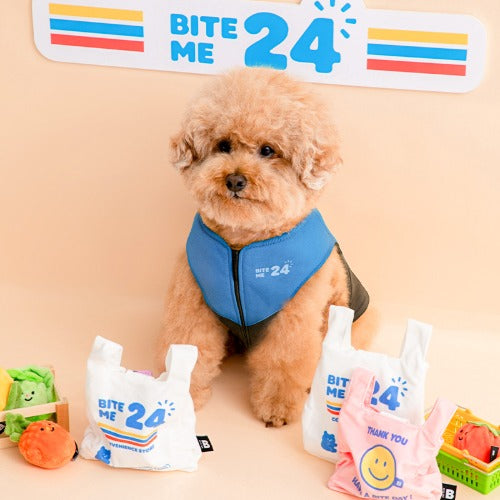 SHOPPING BAG // nosework toy