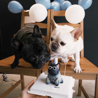 BESPOKE MINI-ME // pet cake