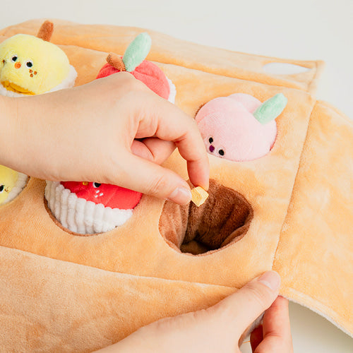 MIXED FRUITS BOX // nosework toy