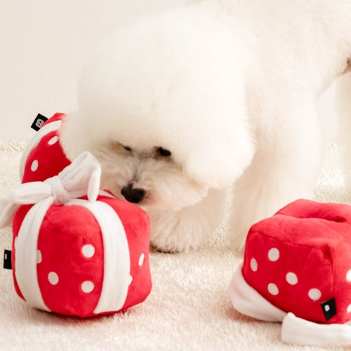 GIFT BOX // nosework toy