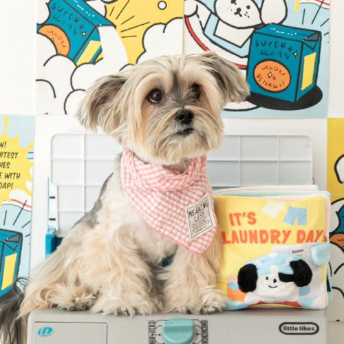 LAUNDRY DAY // nosework book toy