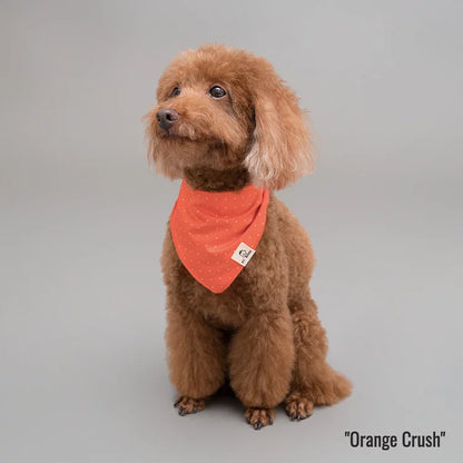 Orange Crush // bandana