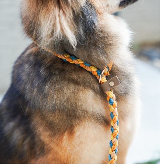 COTTON CLOUD // regular slip leash