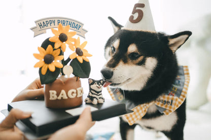 BESPOKE 3D CAKE // pet cake