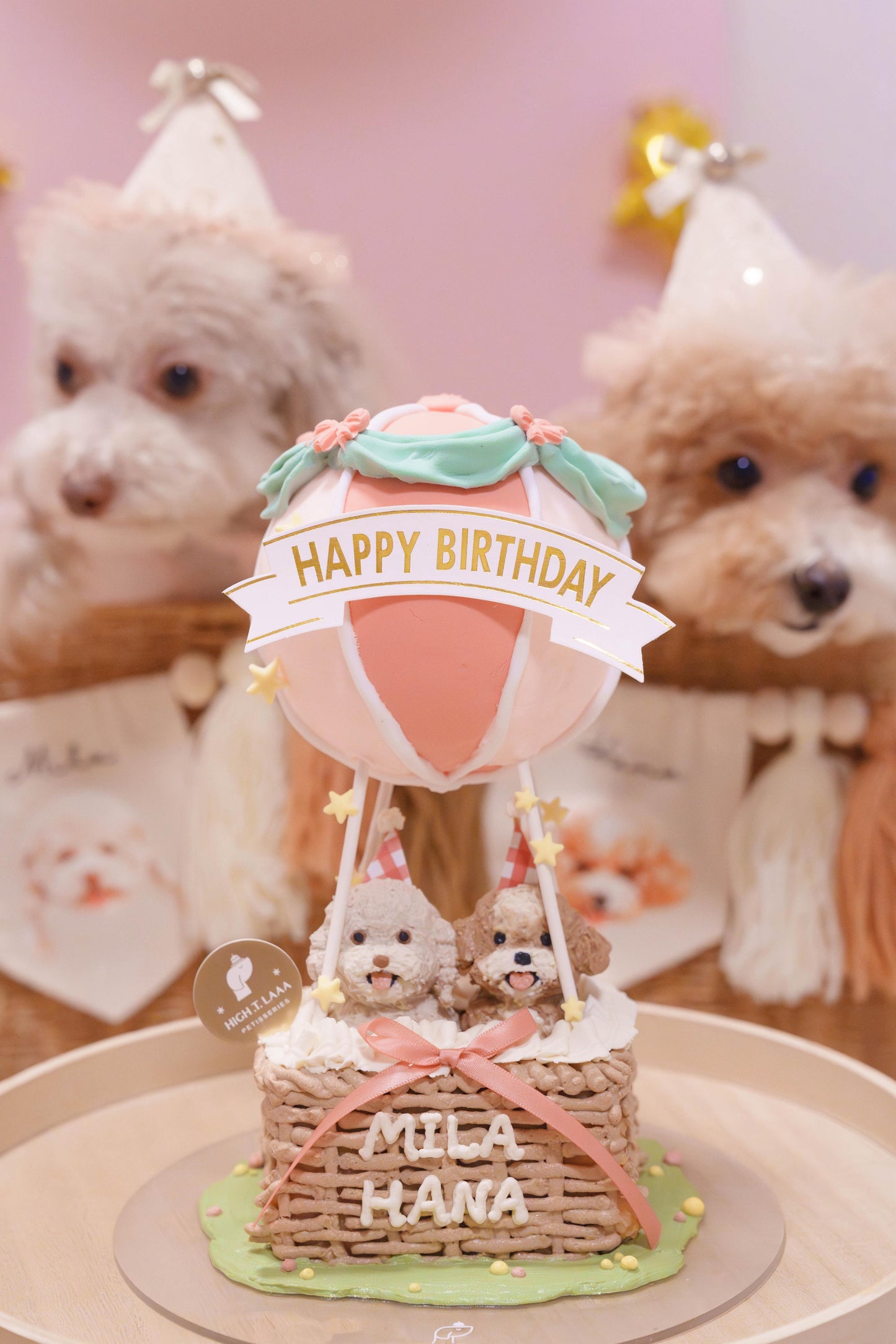 BESPOKE 3D CAKE // pet cake
