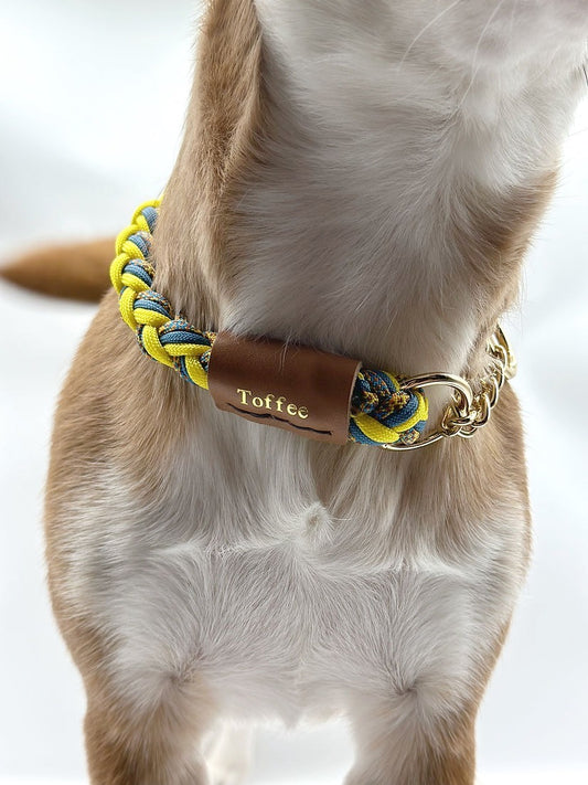 TELUM PLUS // martingale collar