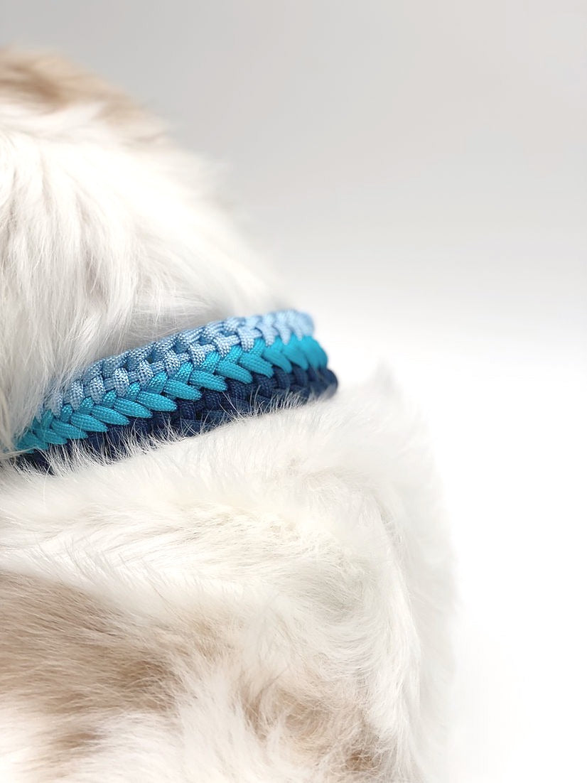 NECTO // adjustable martingale collar