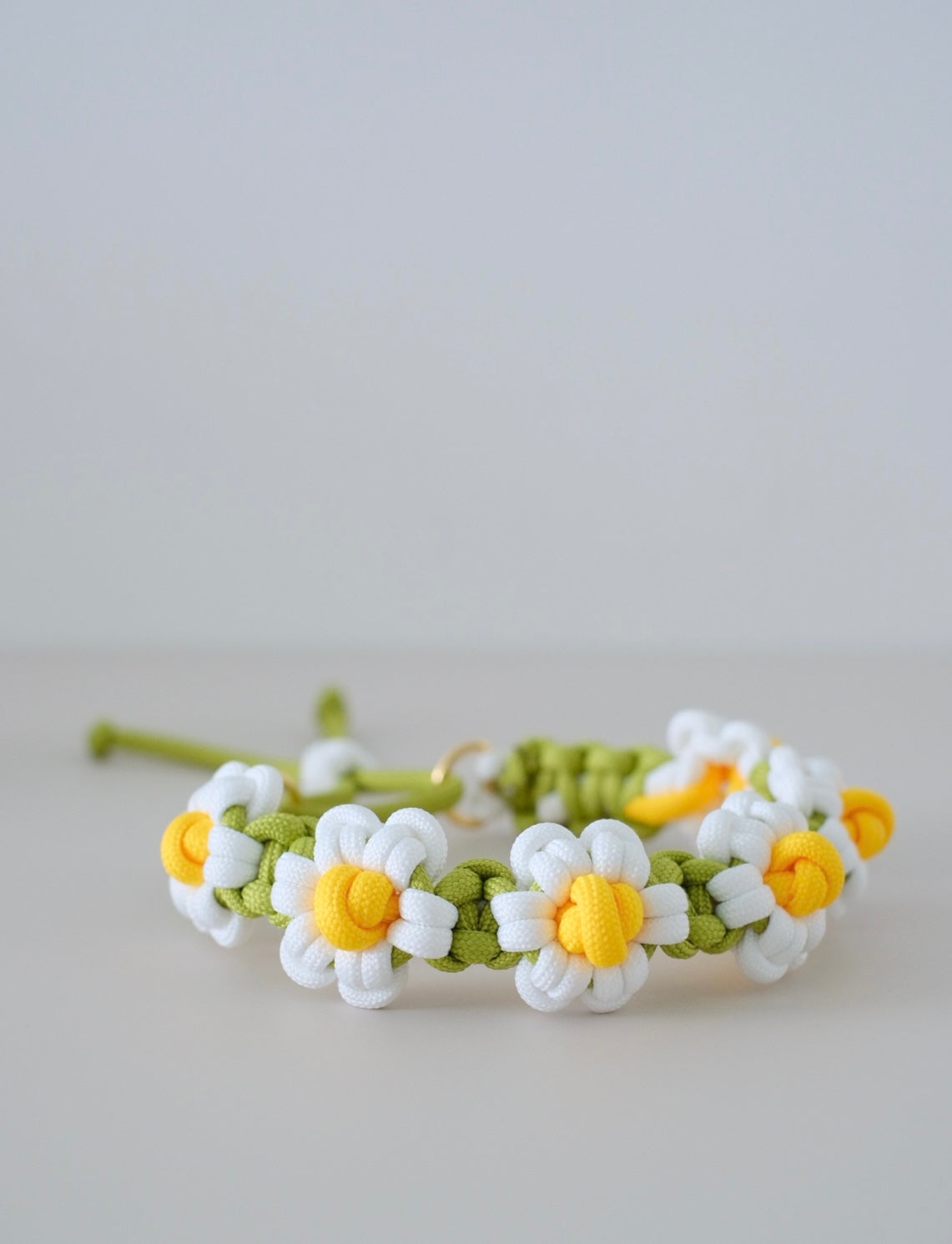 FLOWER // pet collar