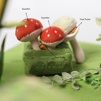 FOREST MUSHROOM // nosework toy