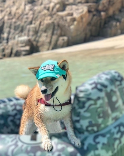 Aquamarine Breeze x Puppuccino Beige // dog hat