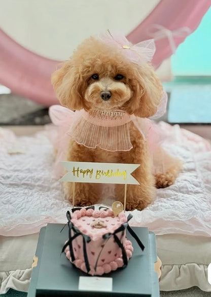 BESPOKE FLAT CAKE // pet cake