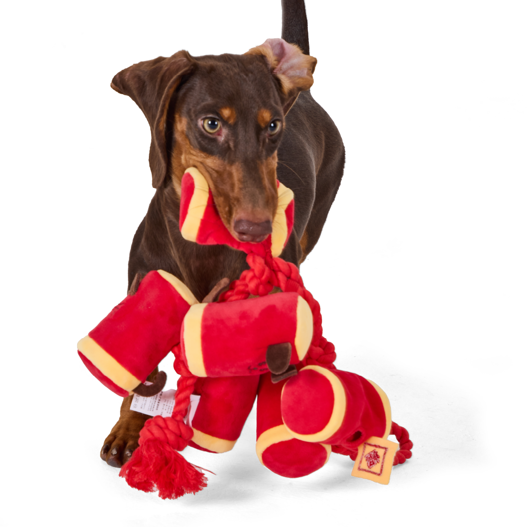 CNY FIRECRACKERS // nosework toy