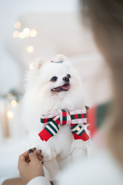 CHECKERED SCARF // pet & hooman scarf