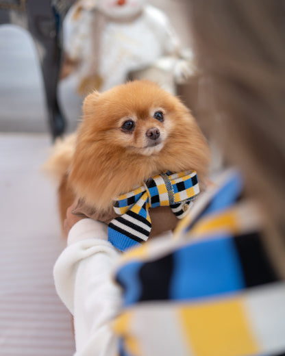 CHECKERED SCARF // pet & hooman scarf