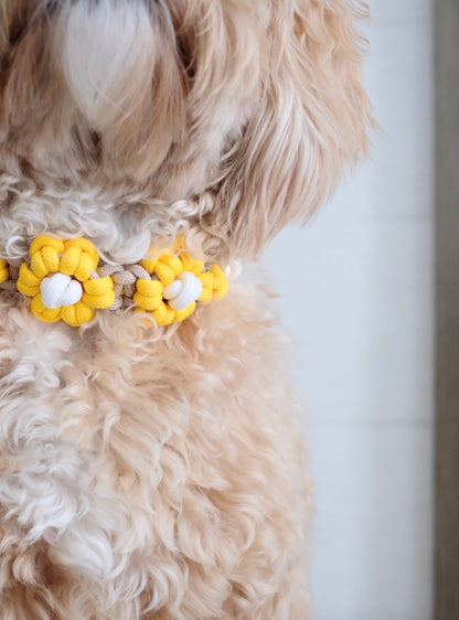 FLOWER // pet collar