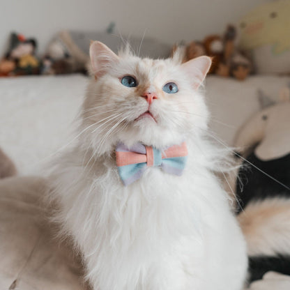 PHUKET STRIPE // bow