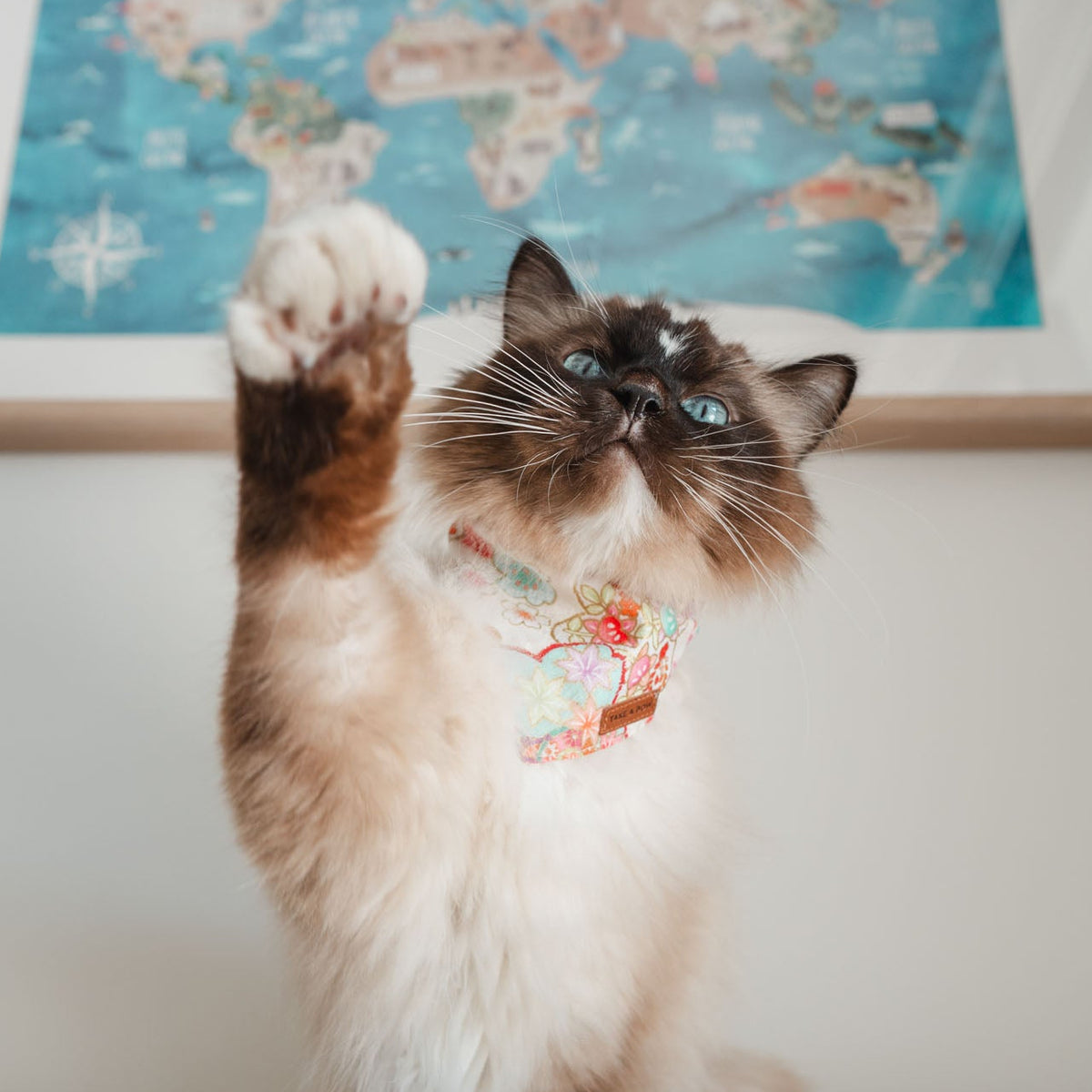 NIJI RAINBOW PINK // bandana