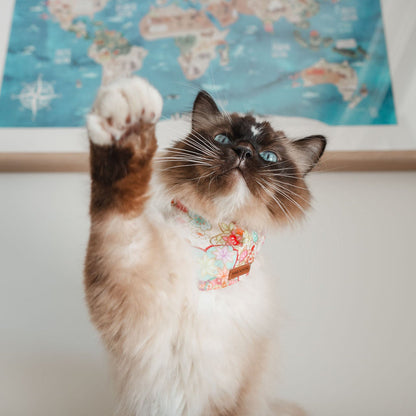 NIJI RAINBOW PINK // bandana