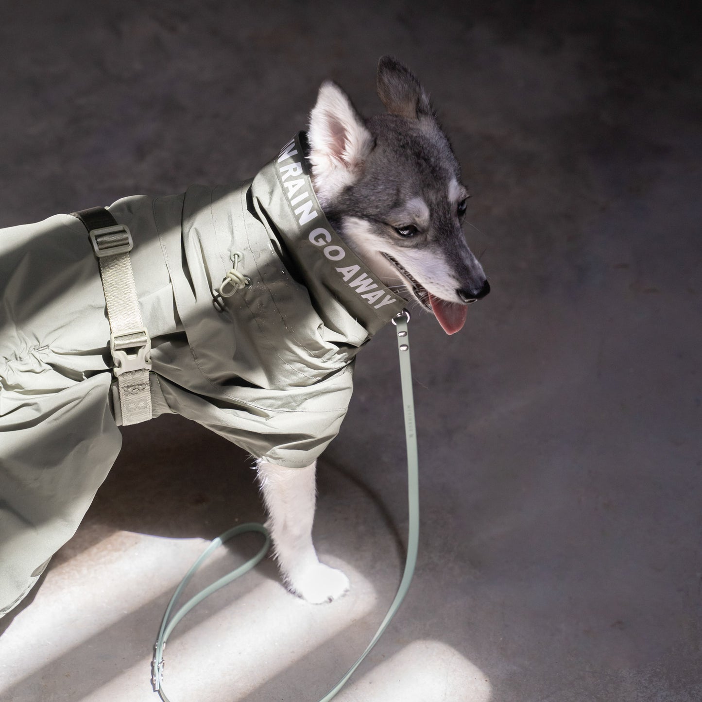 LUMI // raincoat