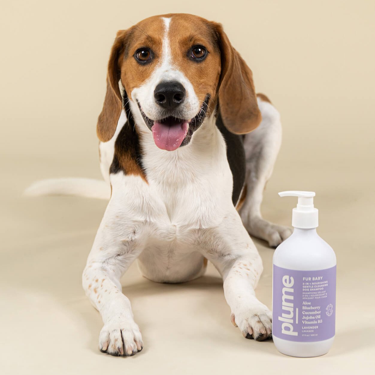 Pet Shampoo for Sensitive Skin // lavender