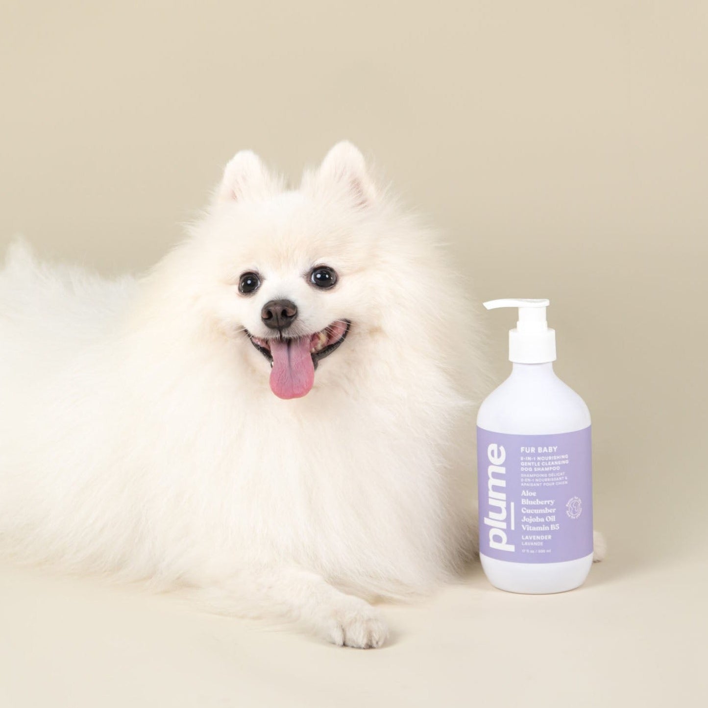 Pet Shampoo for Sensitive Skin // lavender