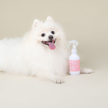 Leave-in Pet Conditioner Spray // Lavender & Rose Water