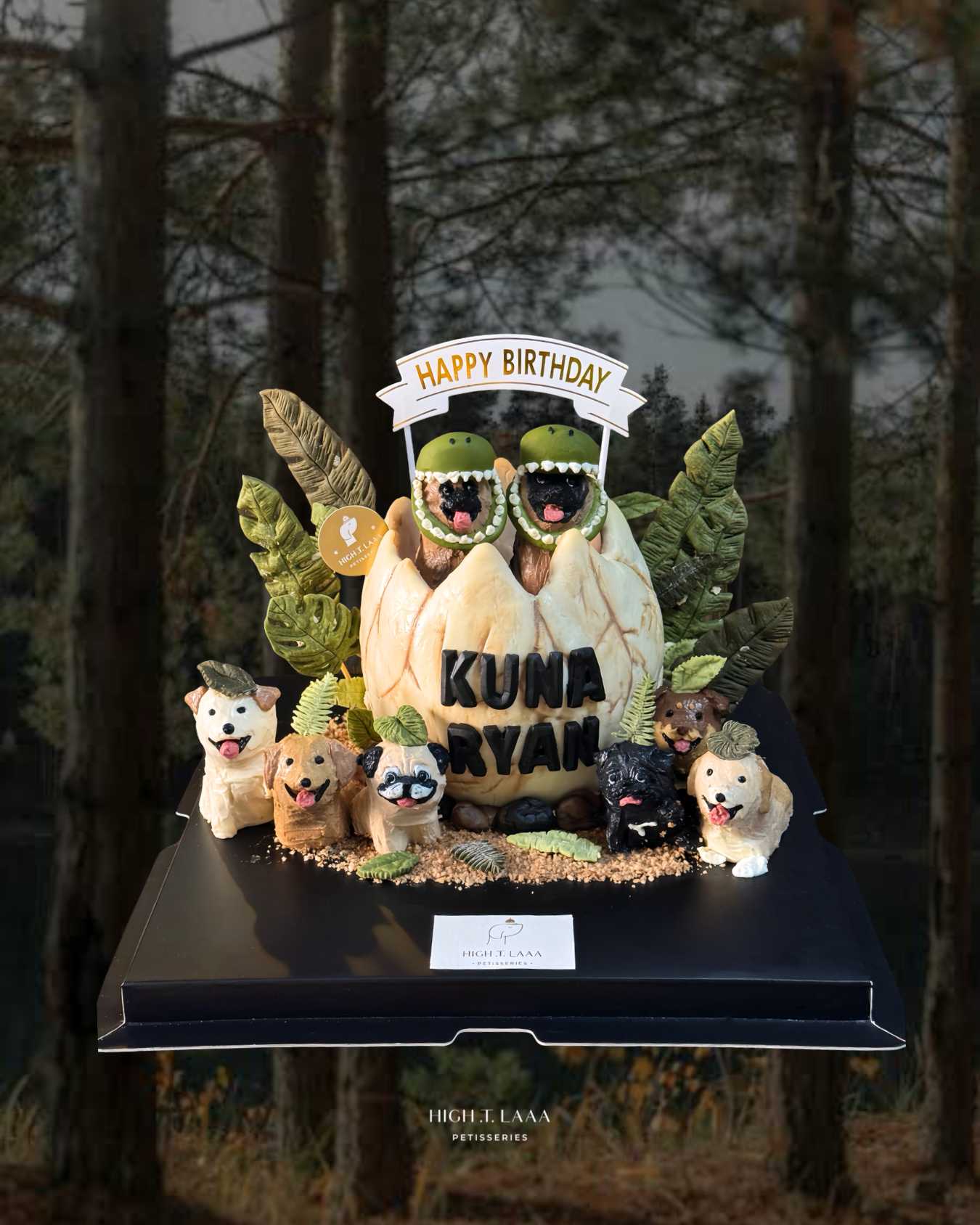 BESPOKE 3D CAKE // pet cake