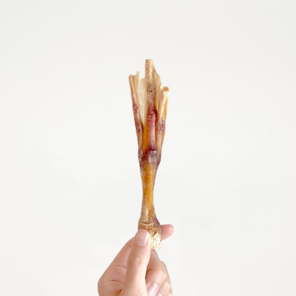 Quacking Duck Feet // 如來鴨掌