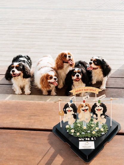 BESPOKE 3D CAKE // pet cake