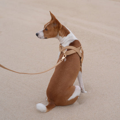 Å // plain harness