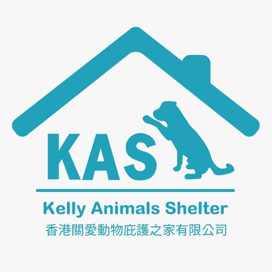 February shelter: Kelly’s Animal Shelter