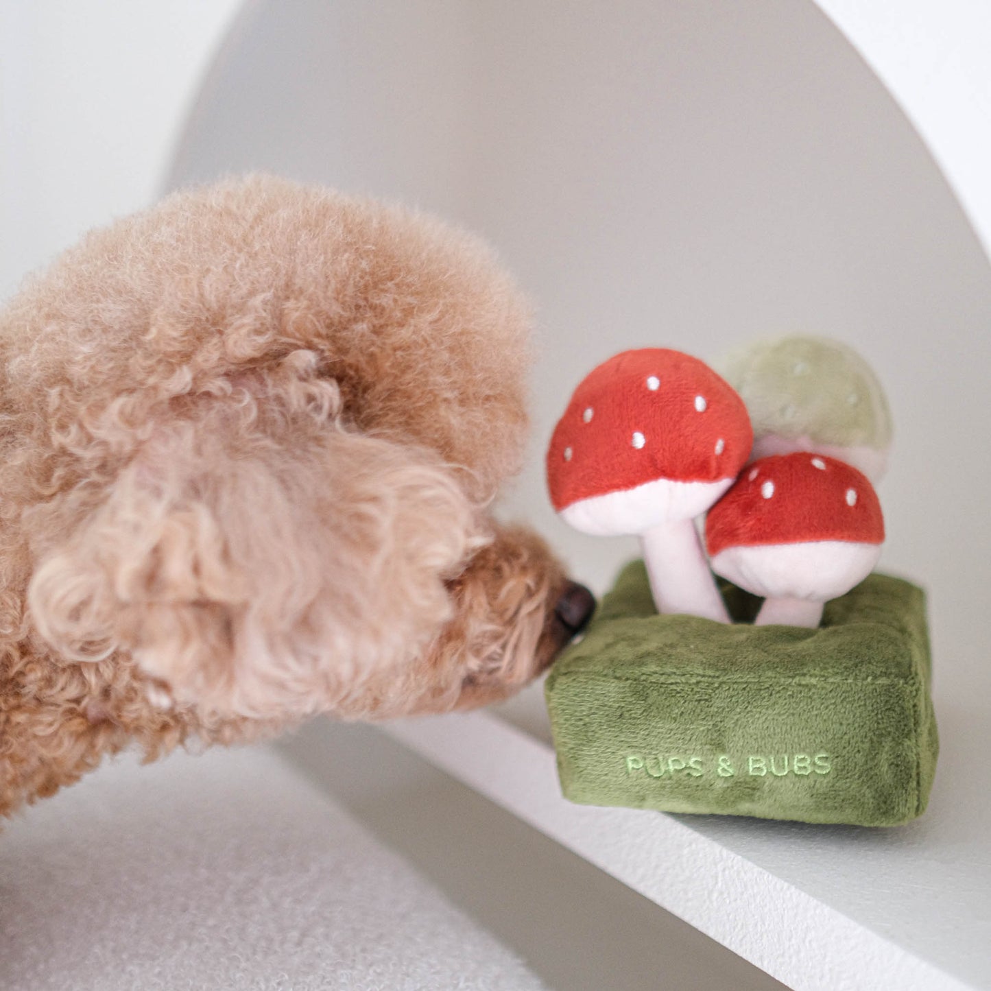 FOREST MUSHROOM // nosework toy