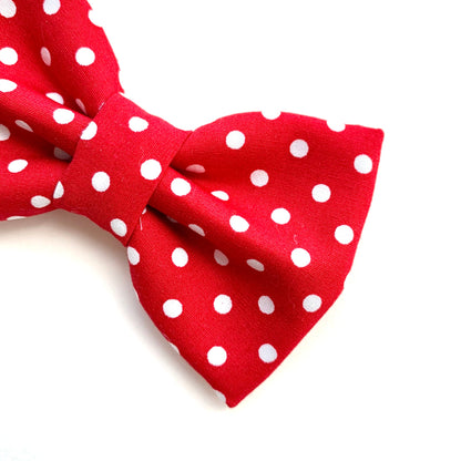 MINNIE DOTS // bow