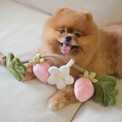 STRAWBERRY VINE // tug toy