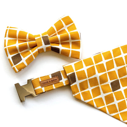 TURMERIC TILES // collar