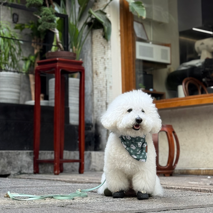 KOALA & EUCALYPTUS // bandana