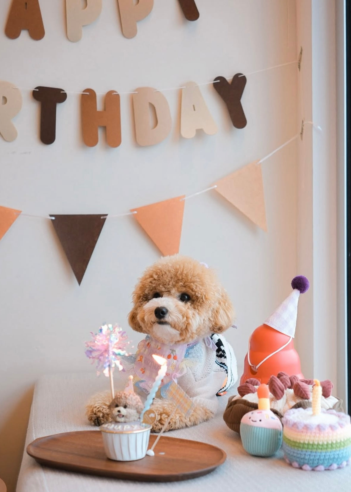 BESPOKE CUPCAKE // pet cake
