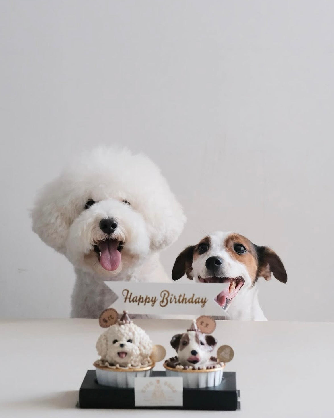 BESPOKE CUPCAKE // pet cake