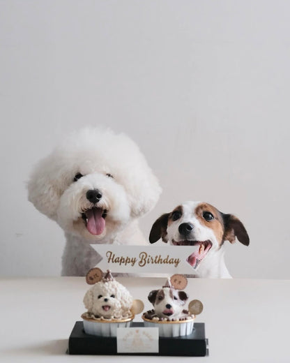 BESPOKE CUPCAKE // pet cake