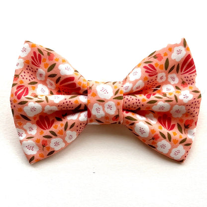 PEACH CAMELLIA // bow