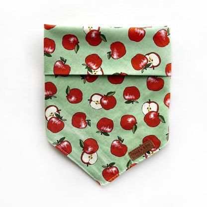 AN APPLE A DAY // bandana