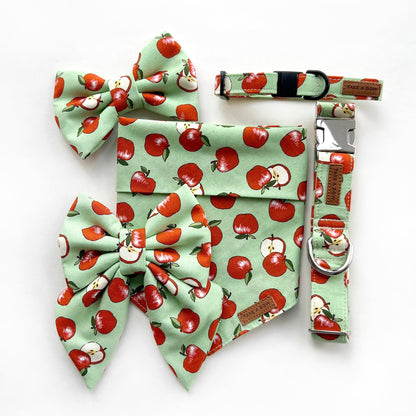 AN APPLE A DAY // bandana