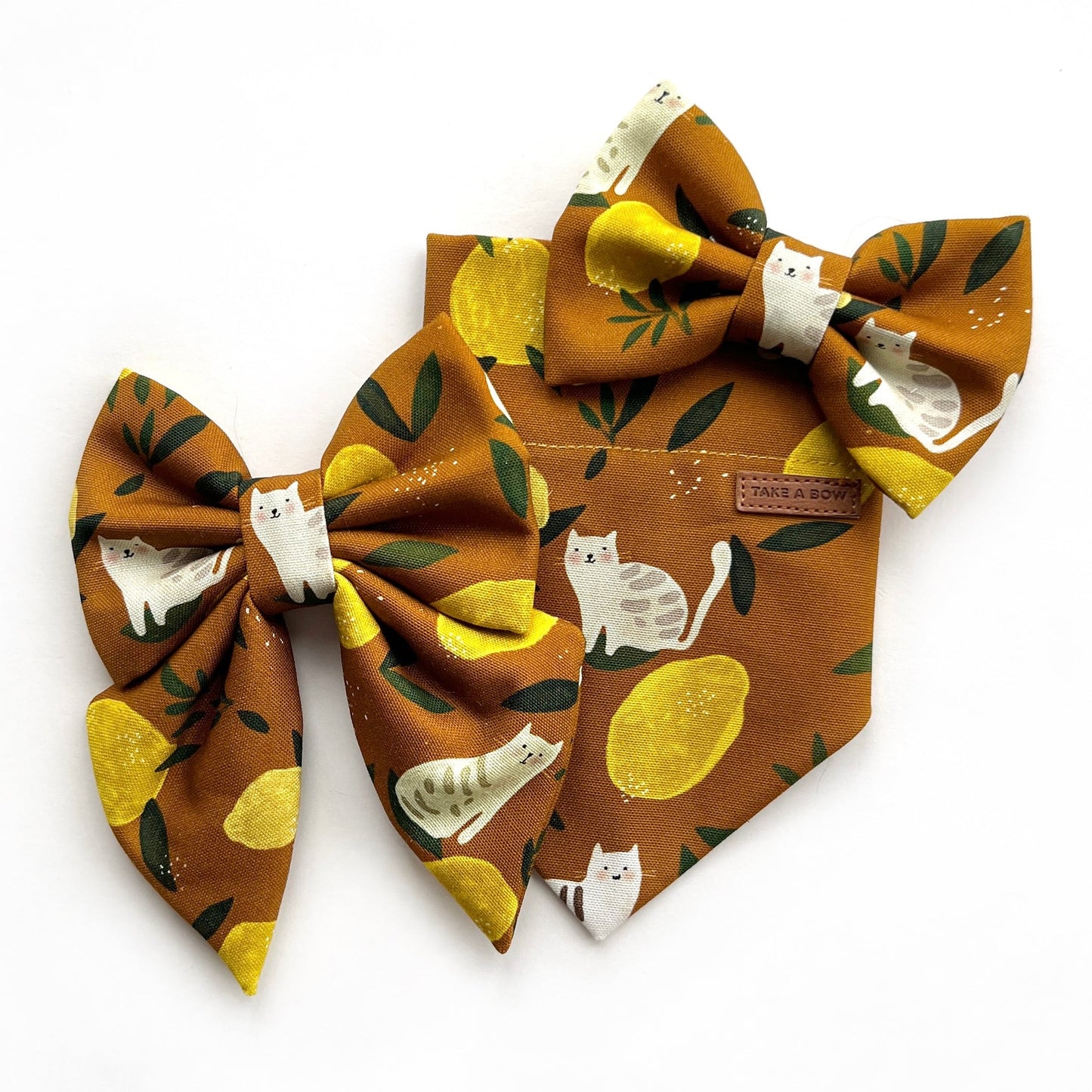 LEMON TABBY // bandana