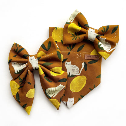 LEMON TABBY // bandana
