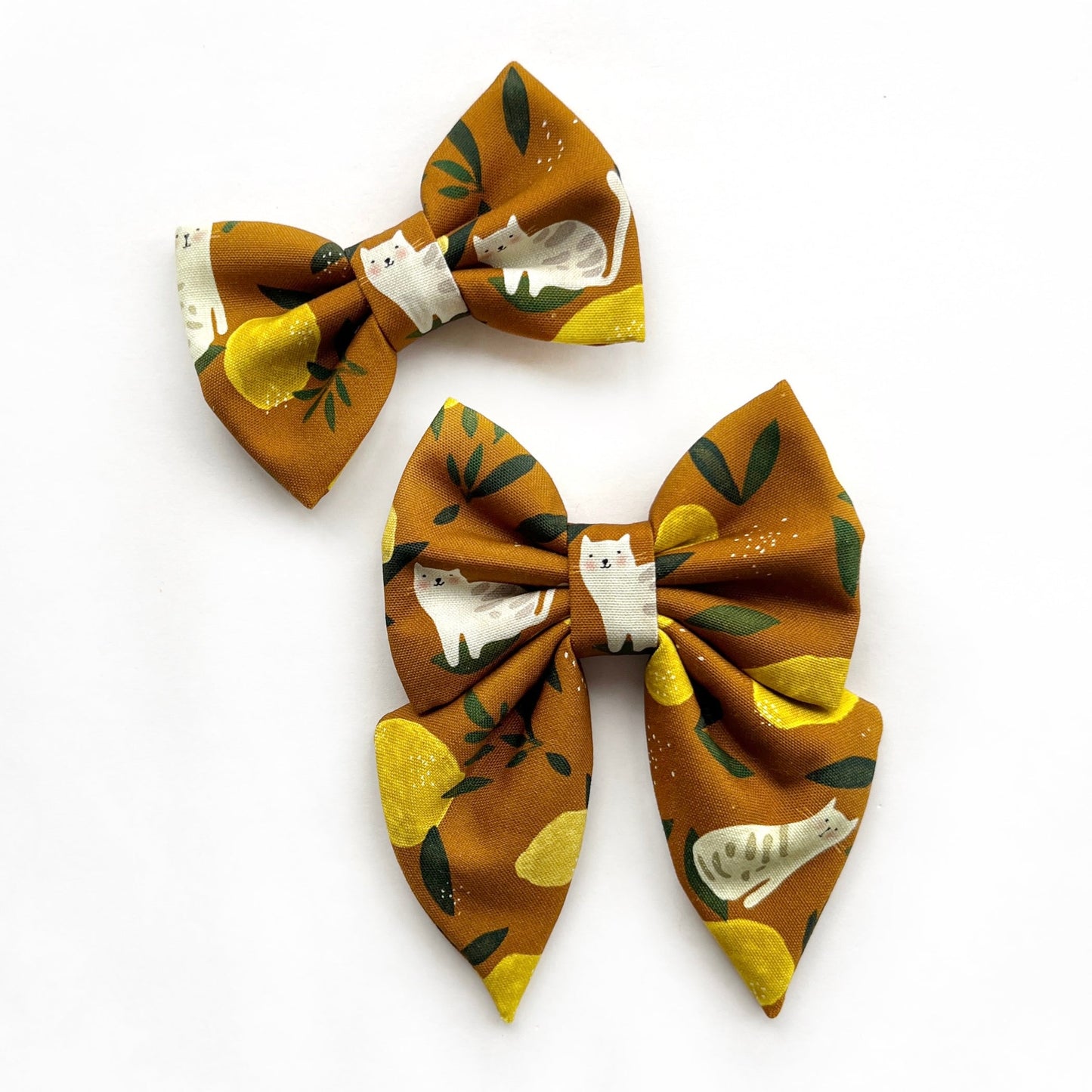 LEMON TABBY // bow