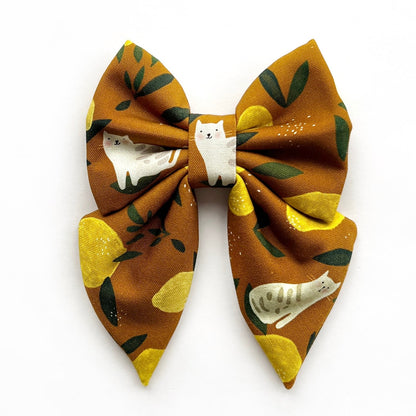 LEMON TABBY // bow