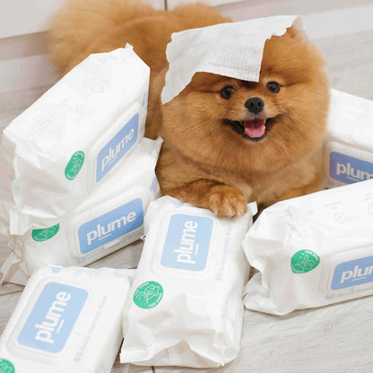 Gentle Cleansing Wet Wipes for Dogs & Cats