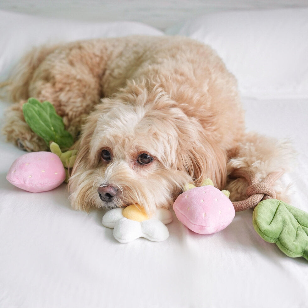STRAWBERRY VINE // tug toy