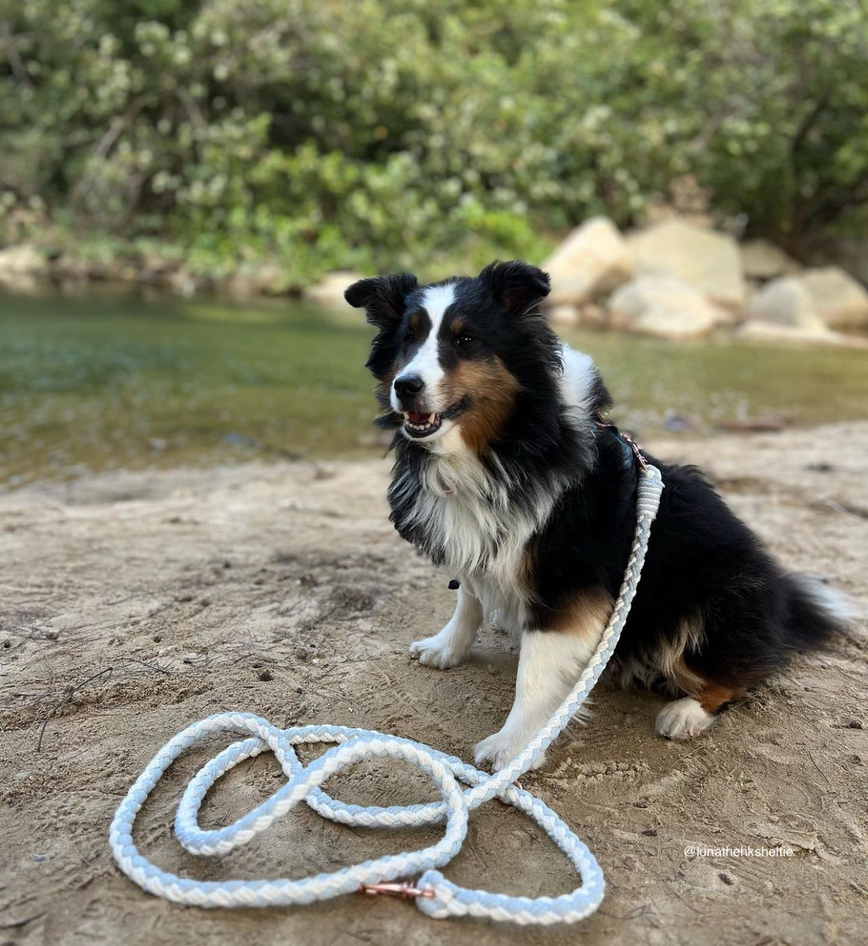 Unicorn Macrame // crossbody leash