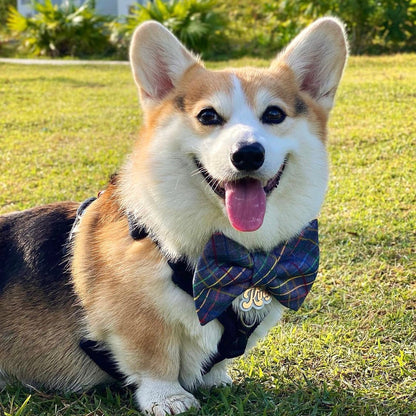 COTTON KNIT EVERLYN // bow